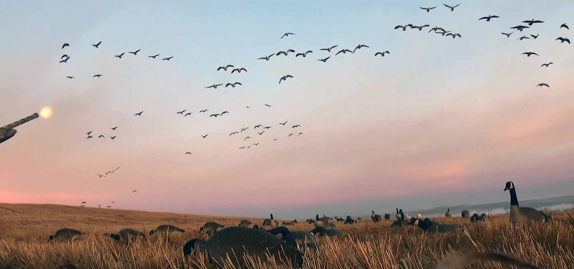 Goose Hunting Wallpapers