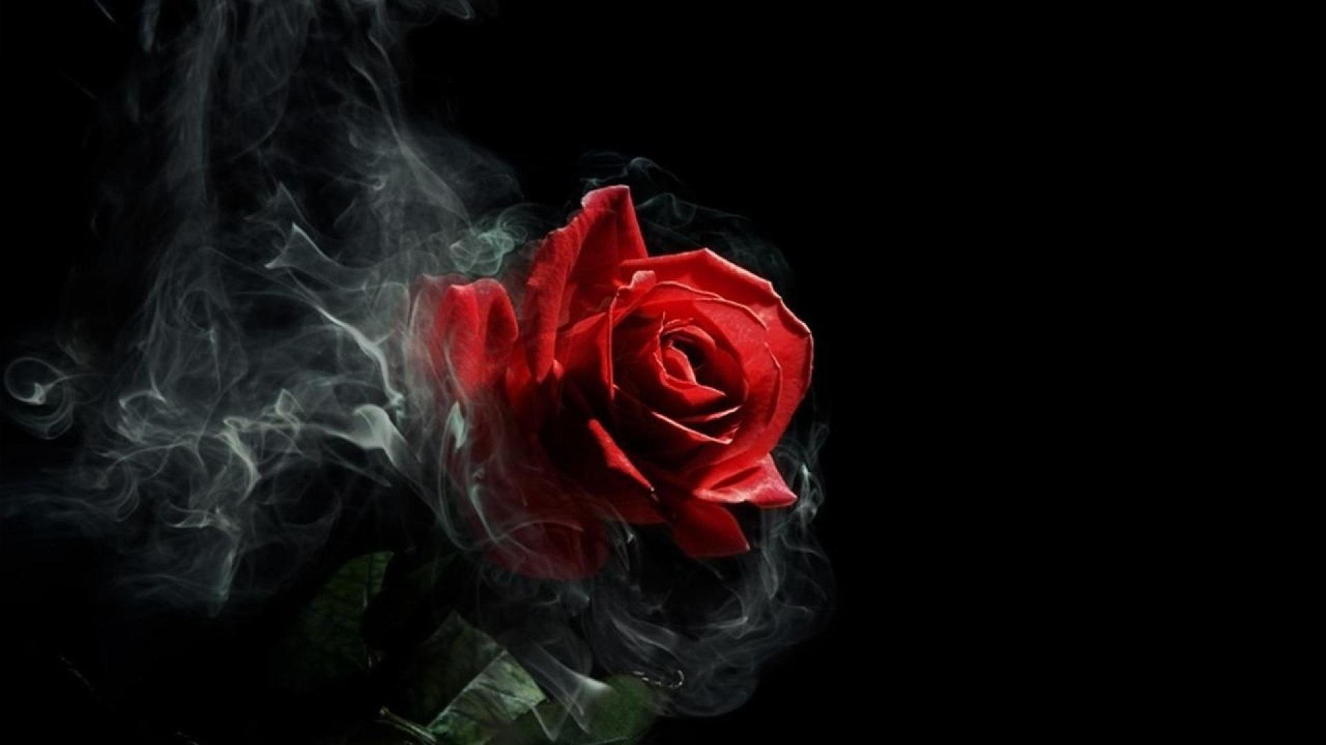 Gothic Black And Red Rose Wallpapers