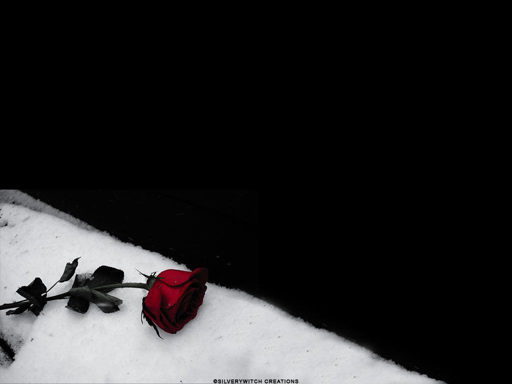 Gothic Black And Red Rose Wallpapers