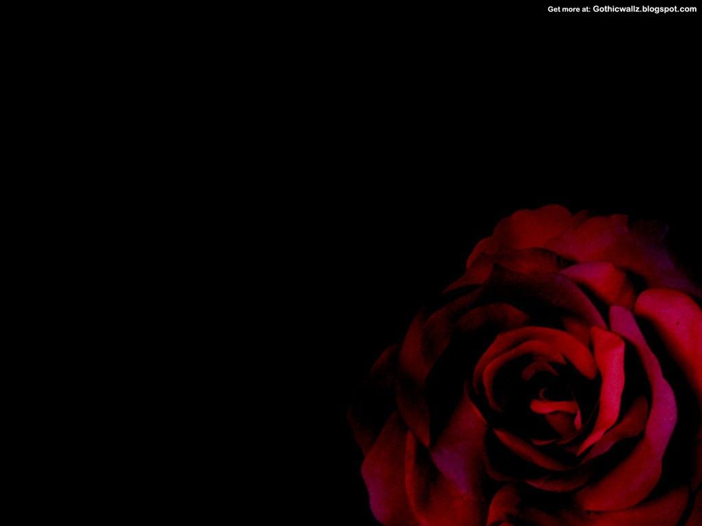 Gothic Black And Red Rose Wallpapers