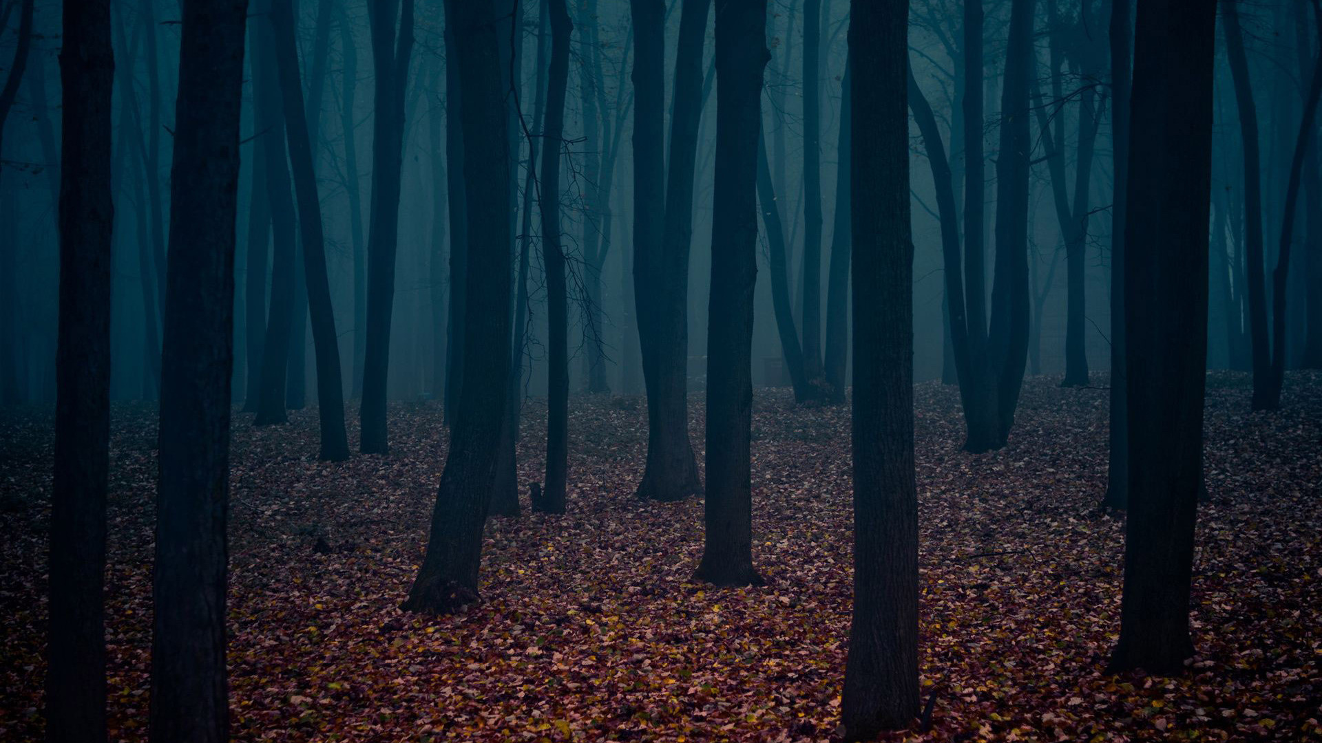 Gothic Forest Wallpapers