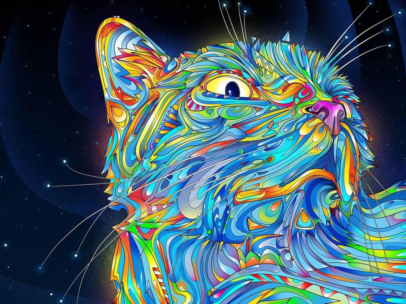 Graffiti Cat Wallpapers