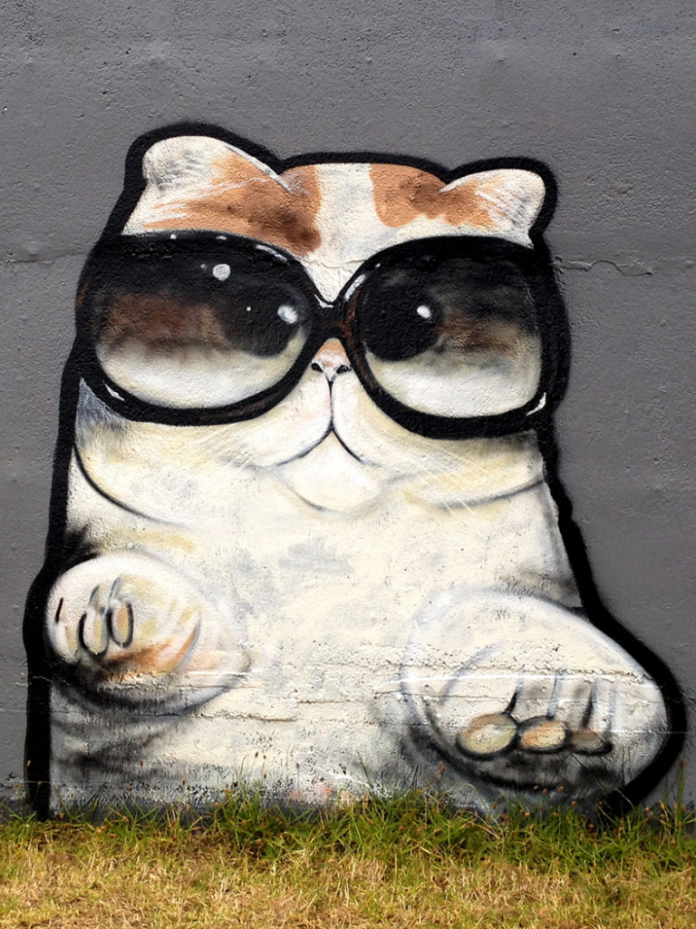 Graffiti Cat Wallpapers