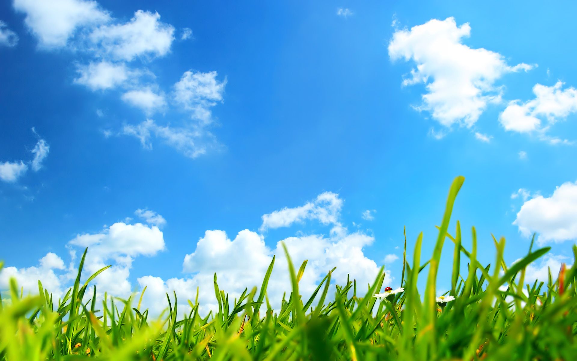 Grass And Sky Wallpapers