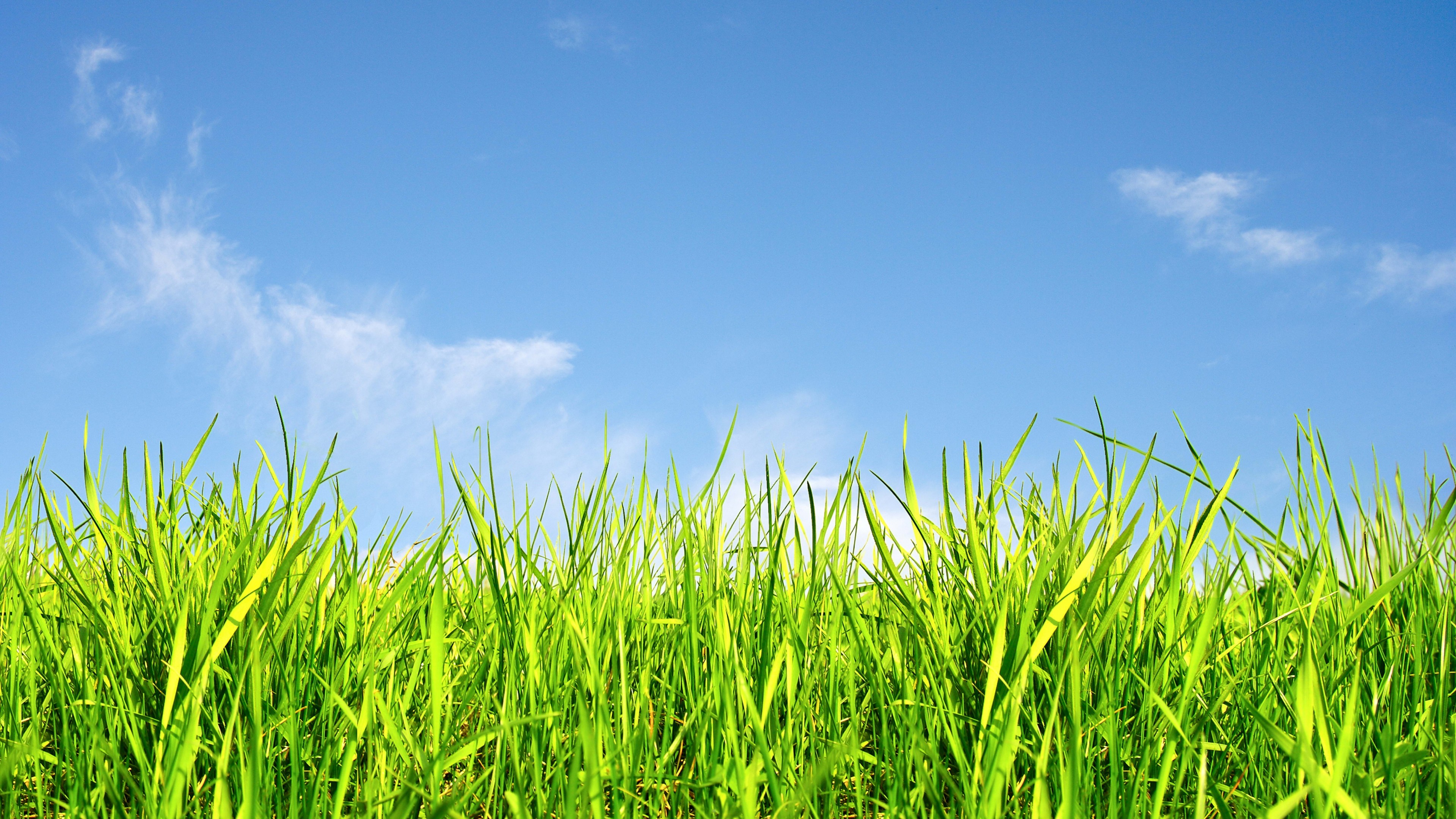 Grass And Sky Wallpapers