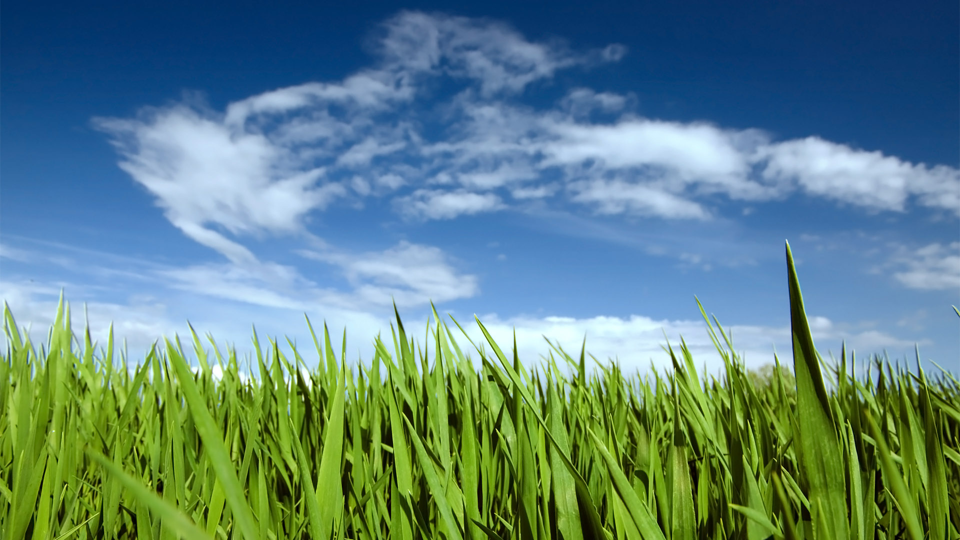 Grass And Sky Wallpapers