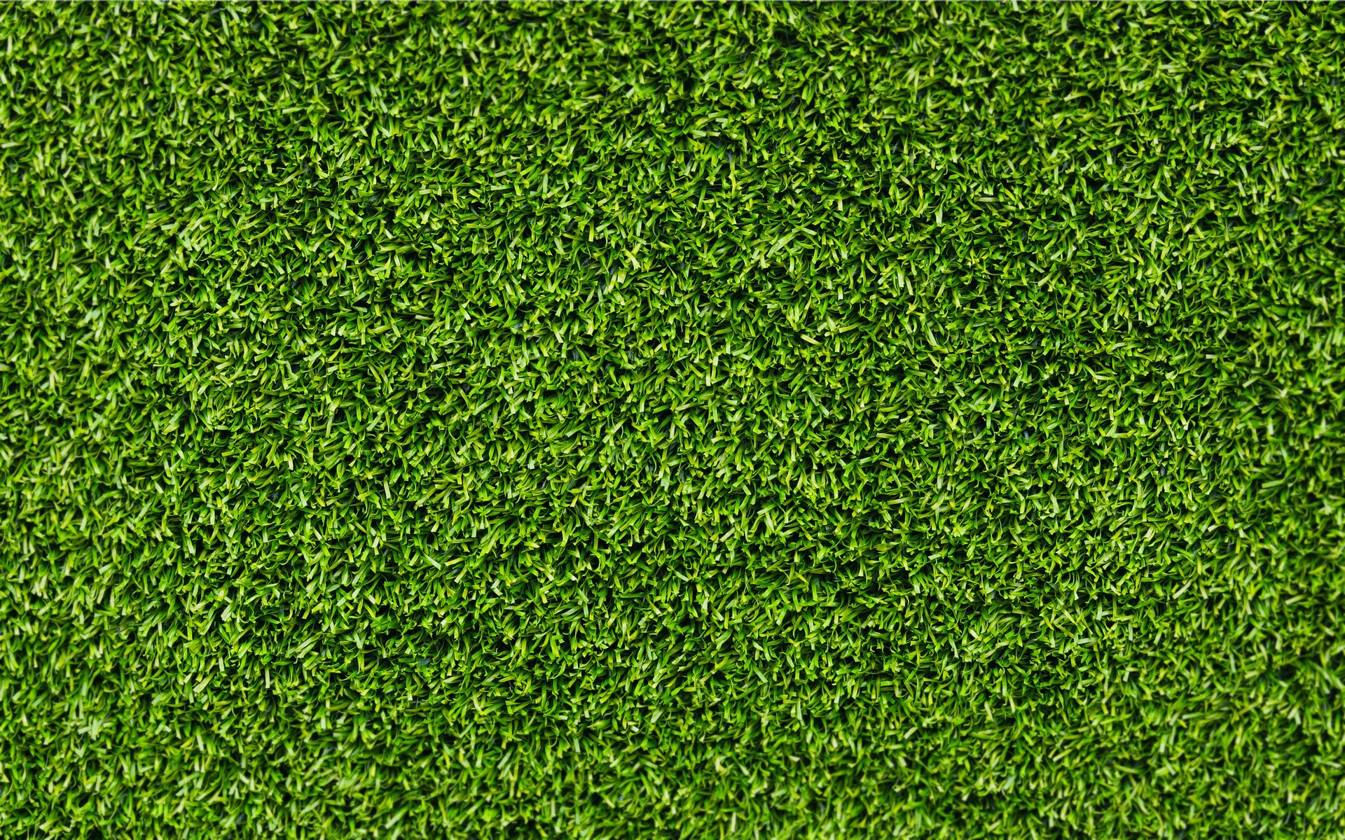 Grass Hd Wallpapers
