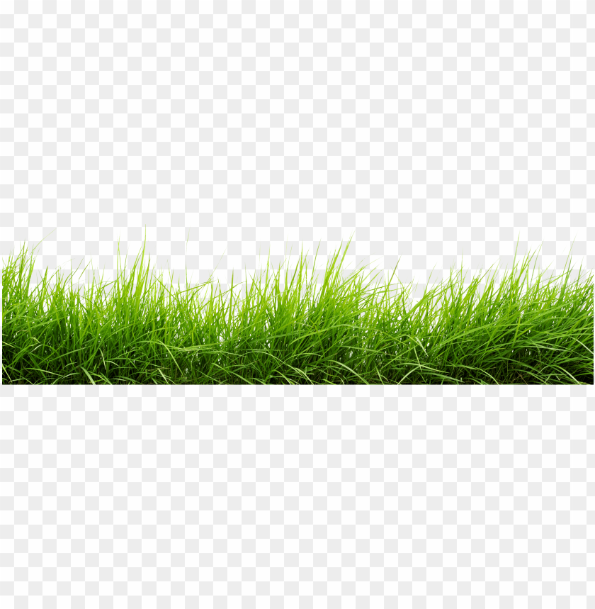 Grass Hd Wallpapers