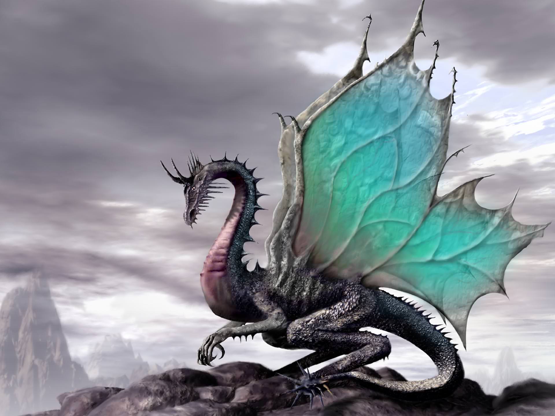 Gray Dragons Wallpapers