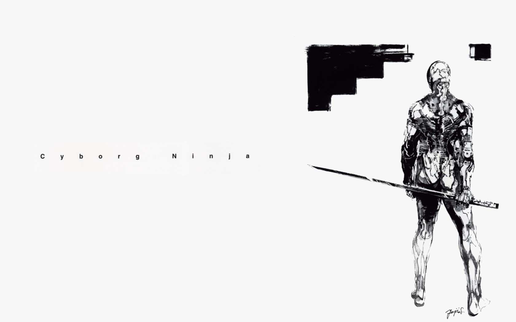 Gray Fox Wallpapers