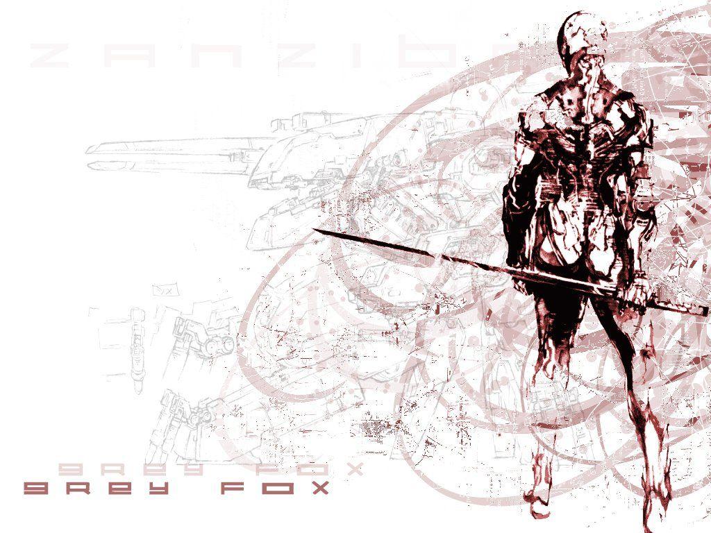 Gray Fox Wallpapers