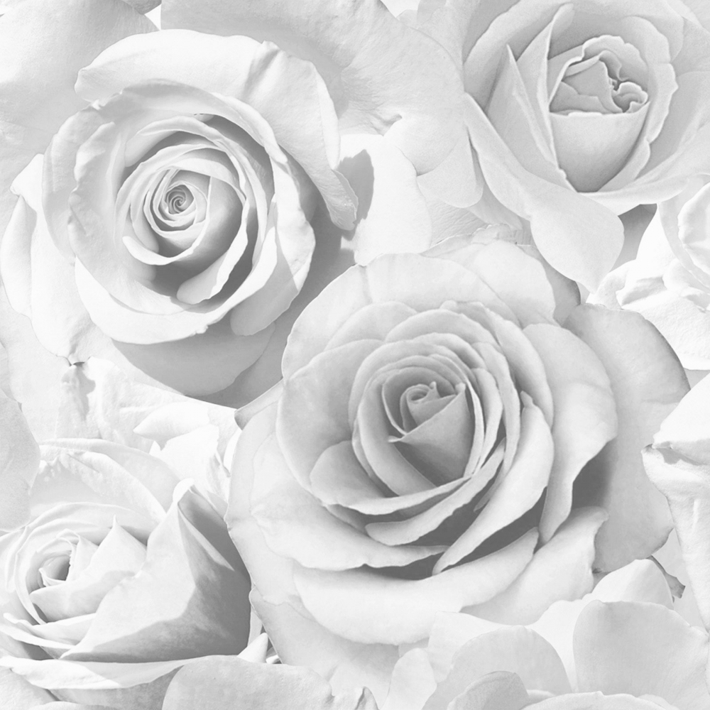 Gray Roses Wallpapers