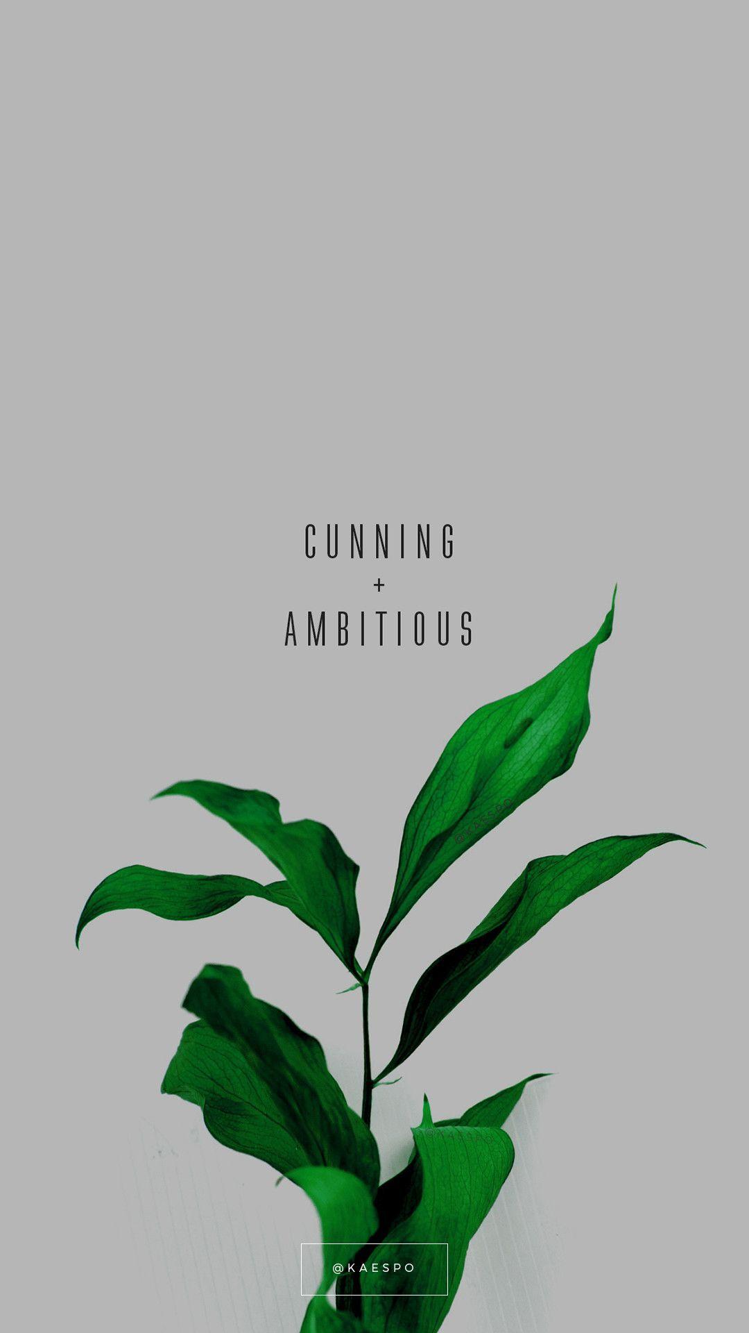 Green Aesthetic Quotes Wallpapers