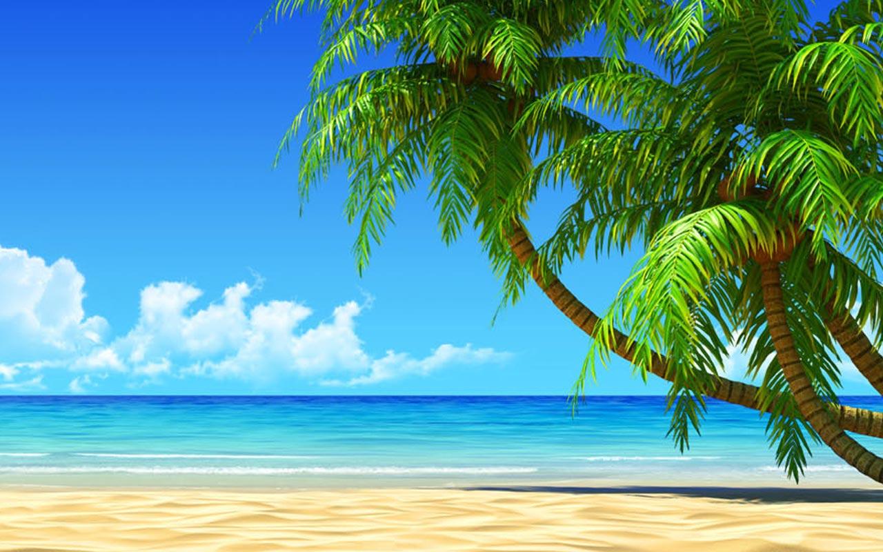 Green Beach Wallpapers