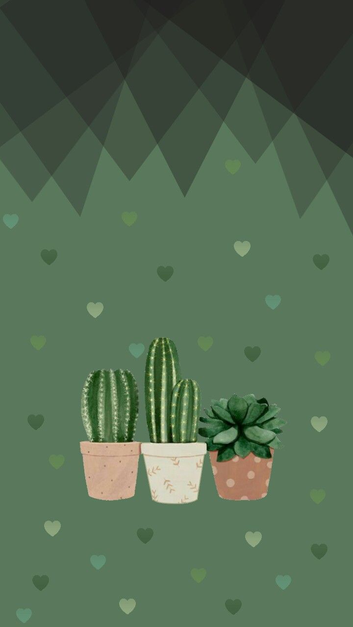 Green Cactus Wallpapers