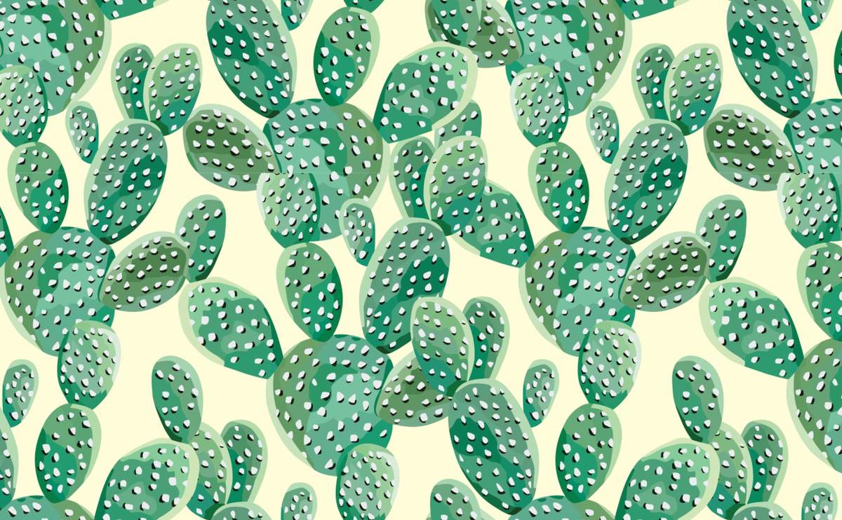 Green Cactus Wallpapers