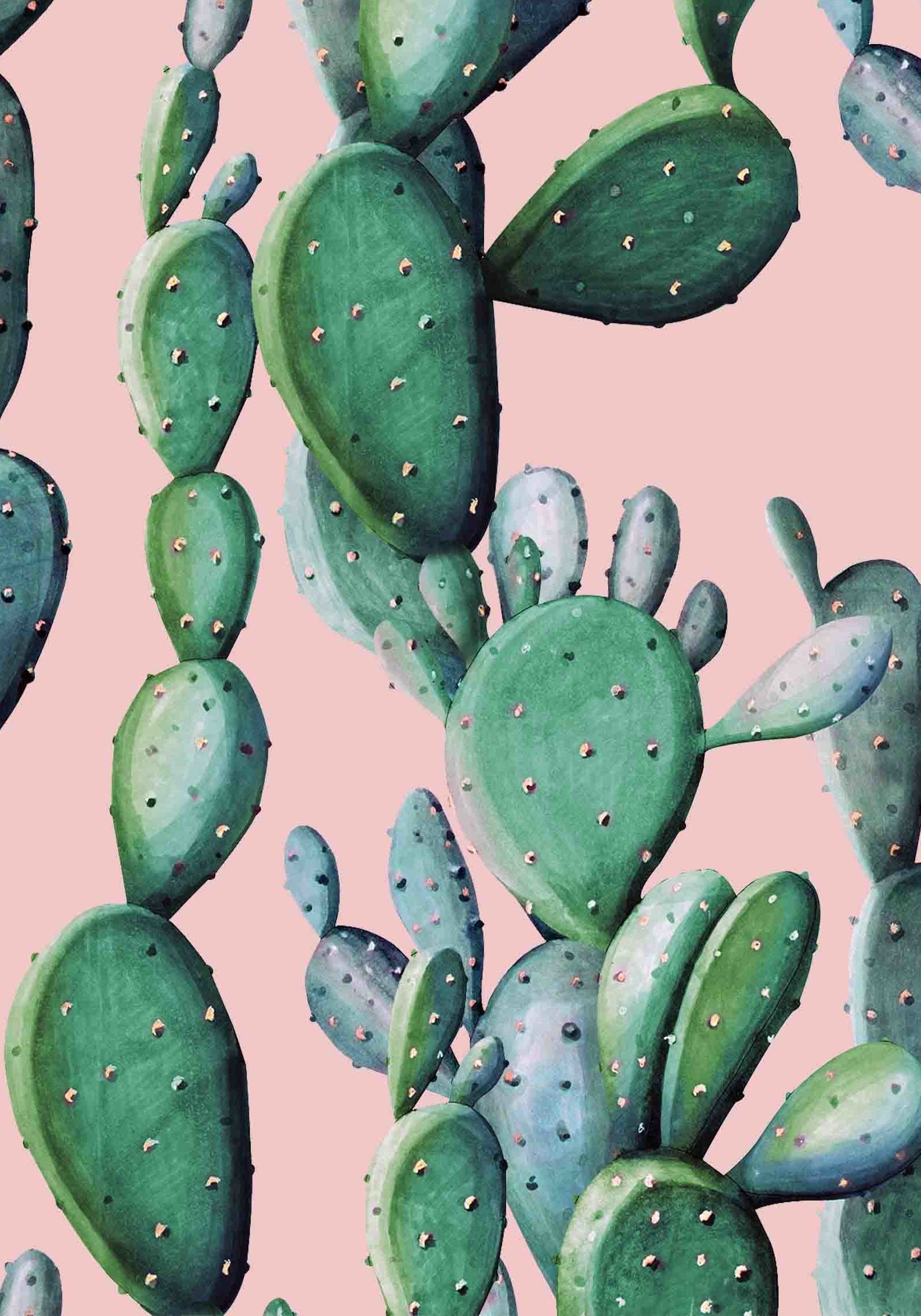 Green Cactus Wallpapers