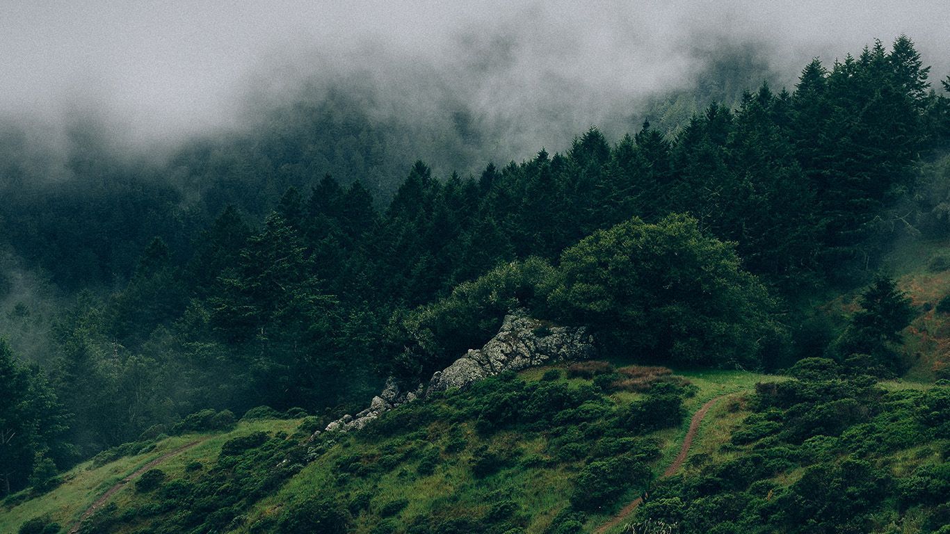 Green Cloud Aesthetic Wallpapers