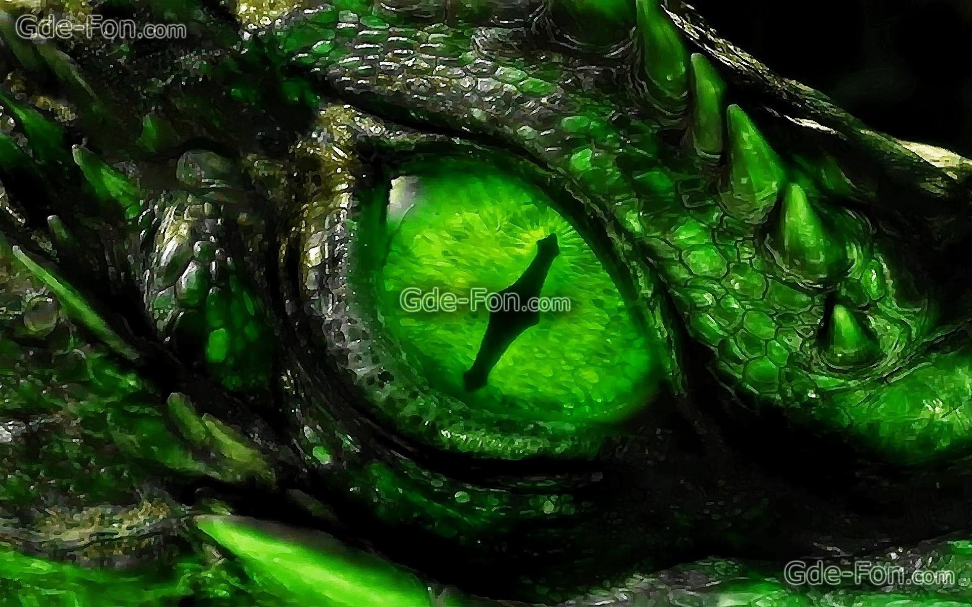 Green Dragon 1920X1080 Wallpapers