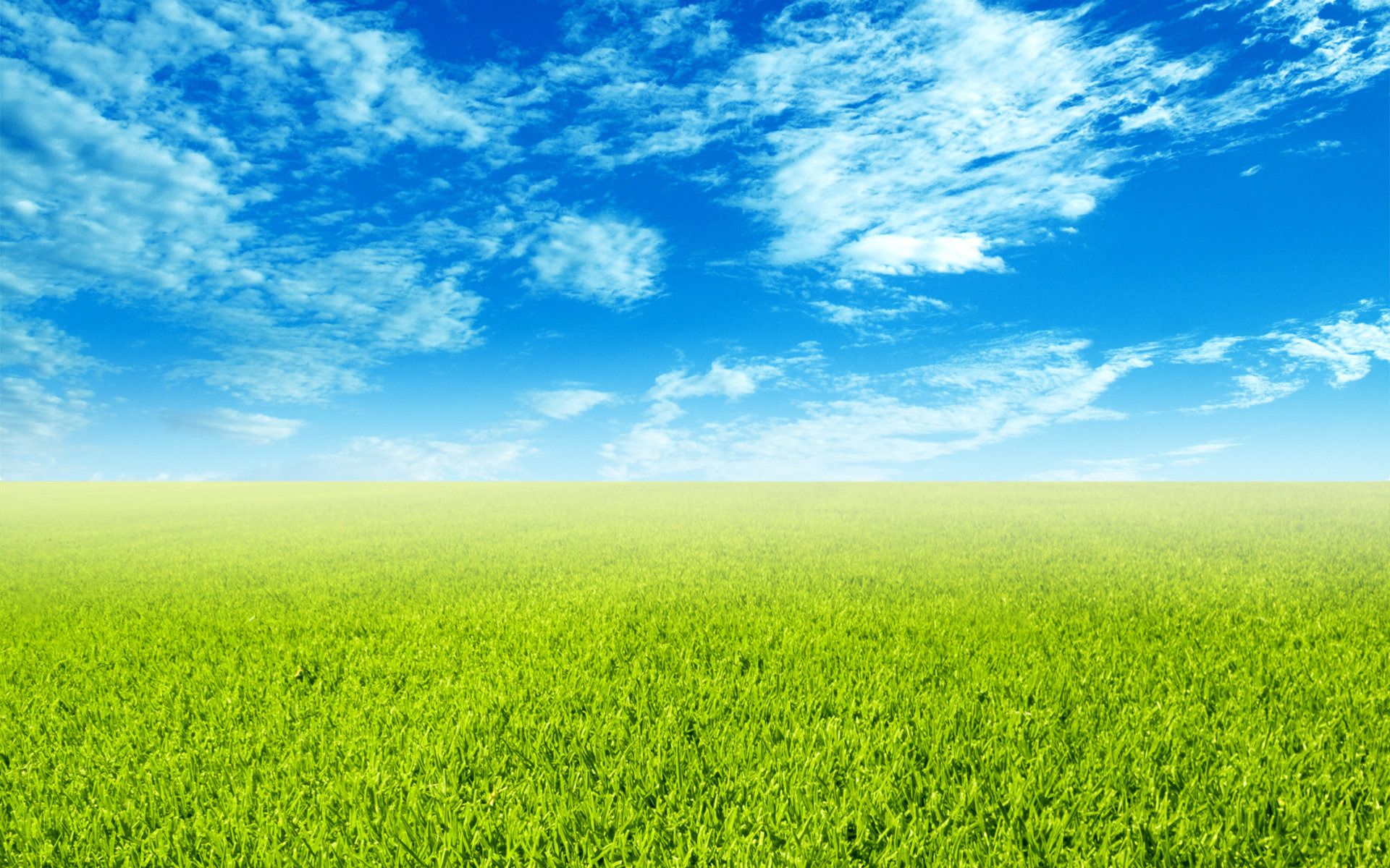 Green Field Wallpapers