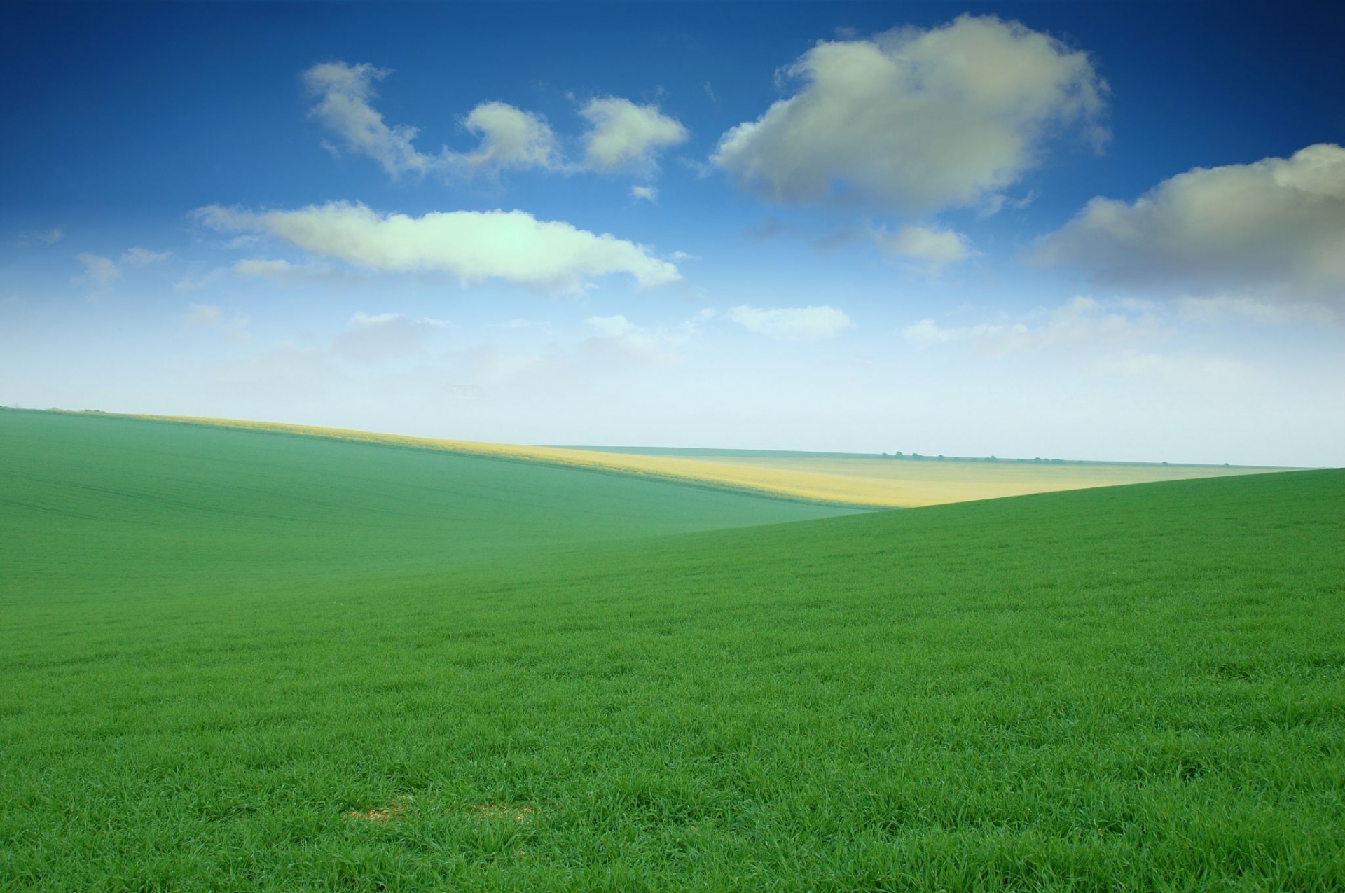 Green Field Wallpapers