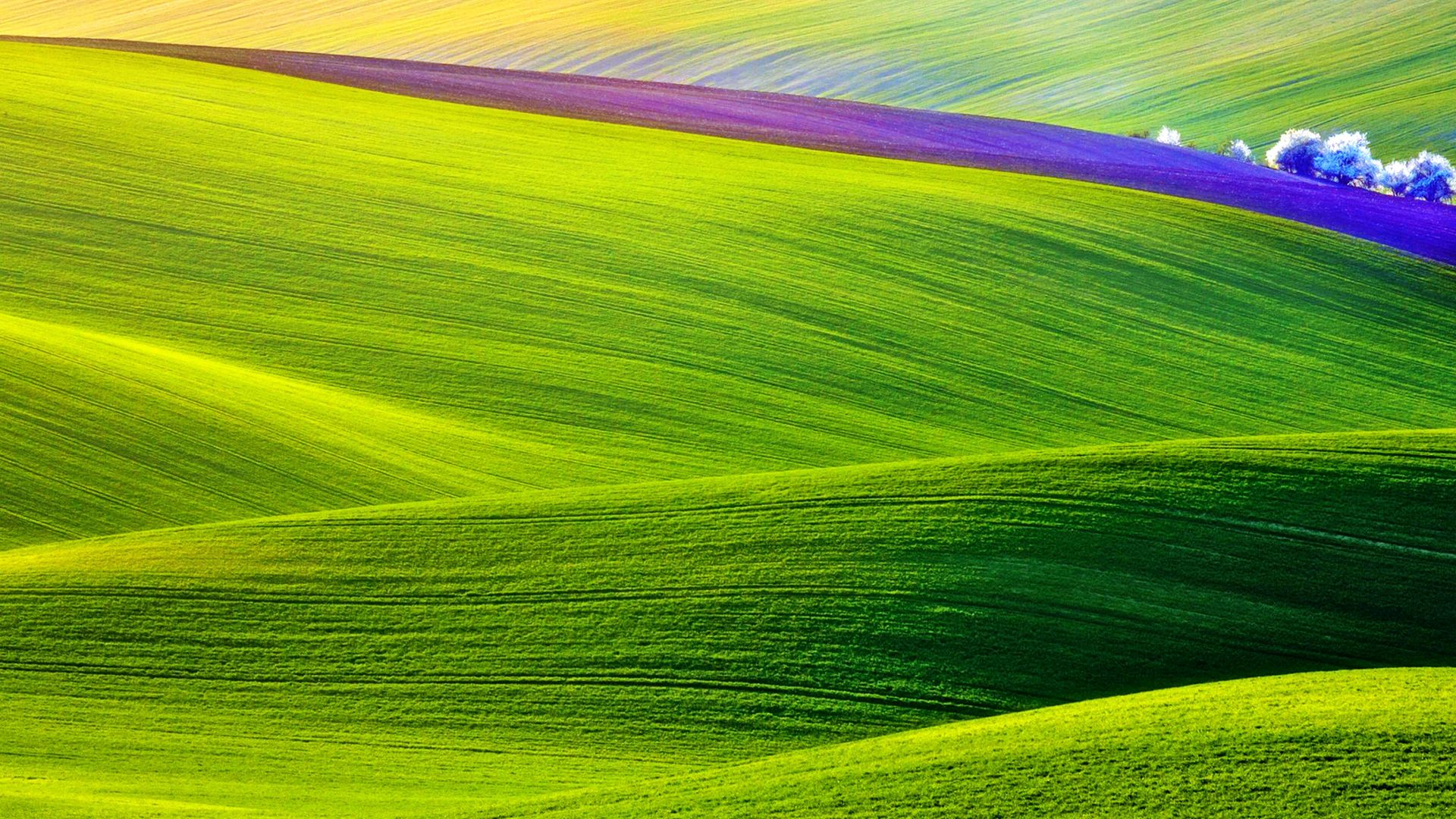 Green Field Wallpapers