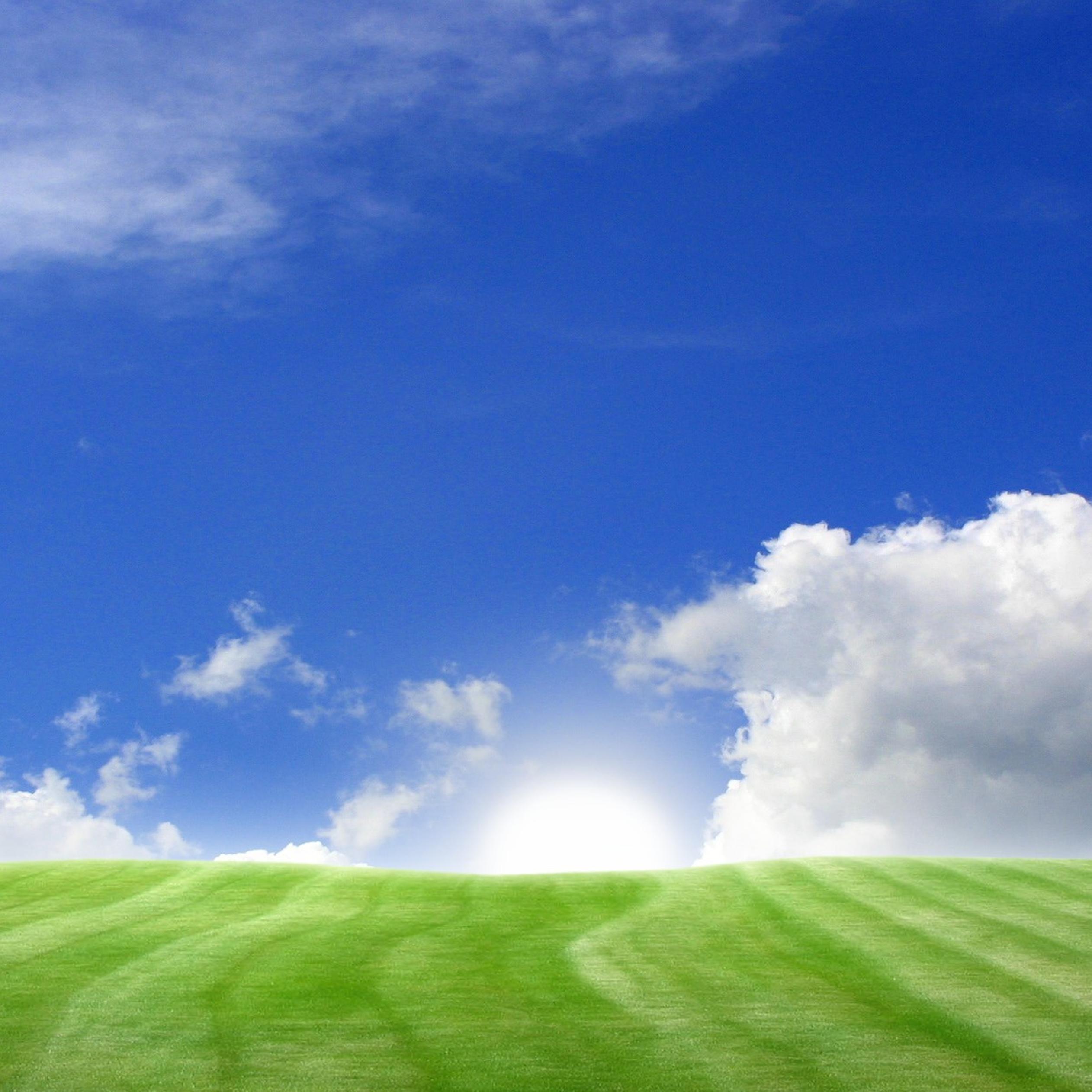 Green Field Wallpapers