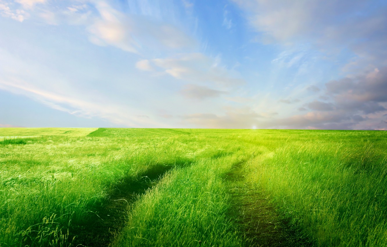 Green Field Wallpapers