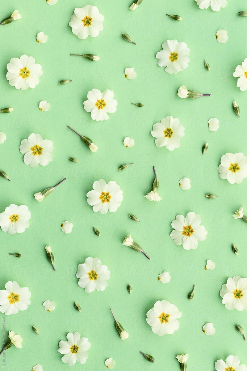 Green Girly Wallpapers