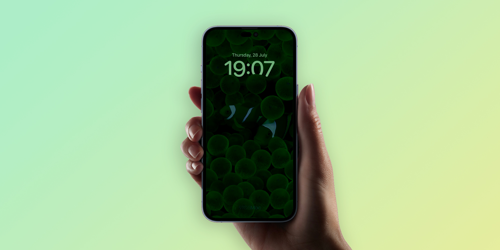 Green Iphone 6 Wallpapers