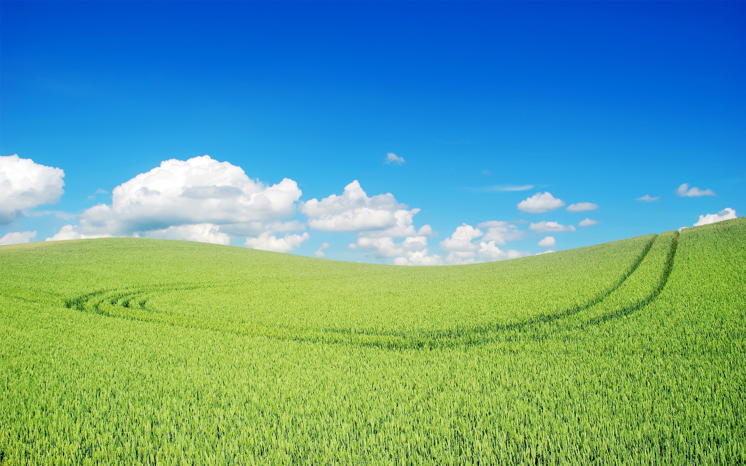 Green Landscape Wallpapers