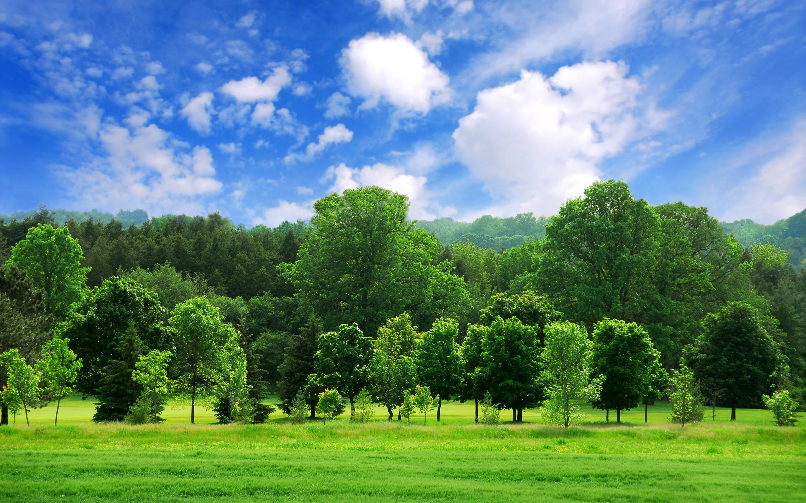 Green Landscape Wallpapers