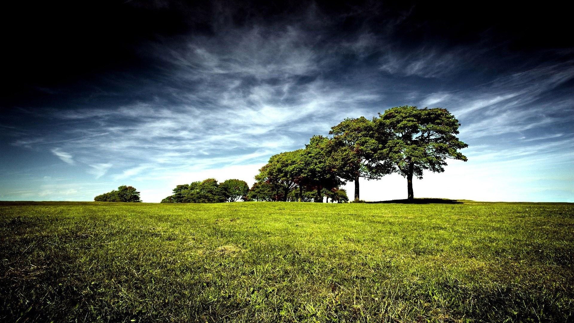 Green Landscape Wallpapers