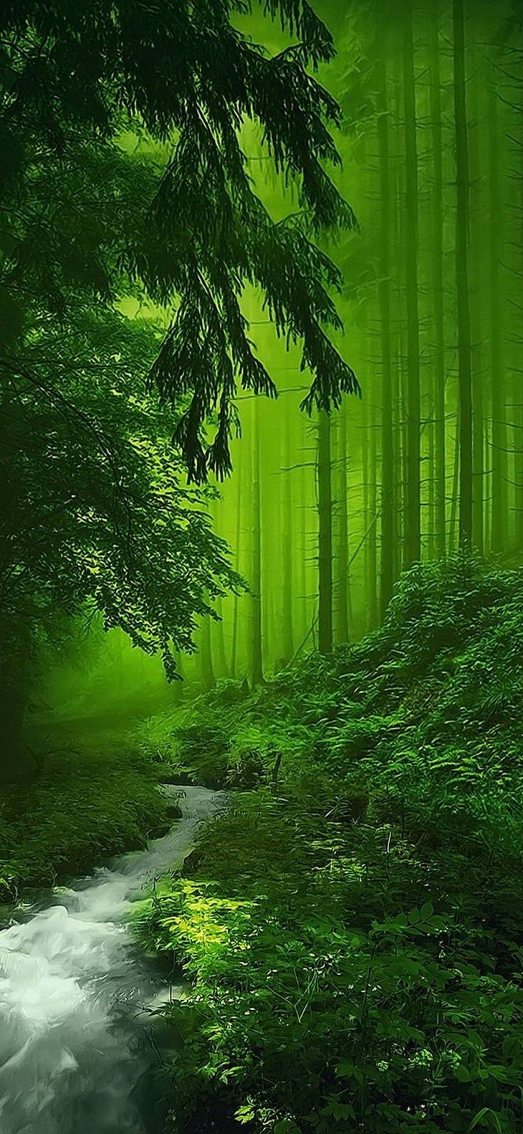 Green Nature Wallpapers