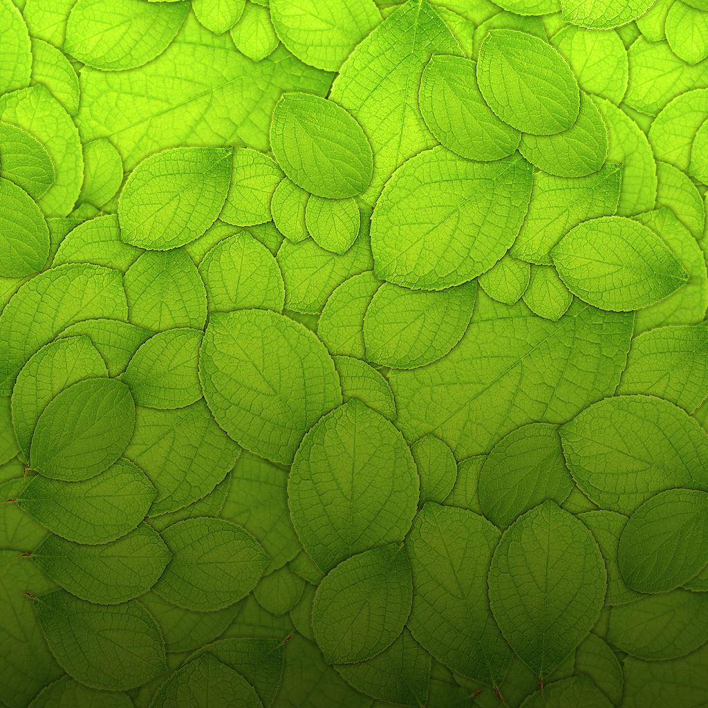 Green Pattern Wallpapers