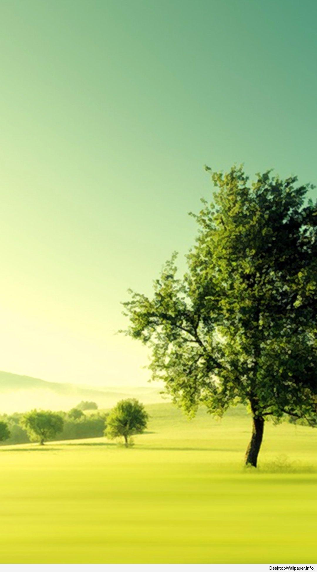 Green Scenery Wallpapers