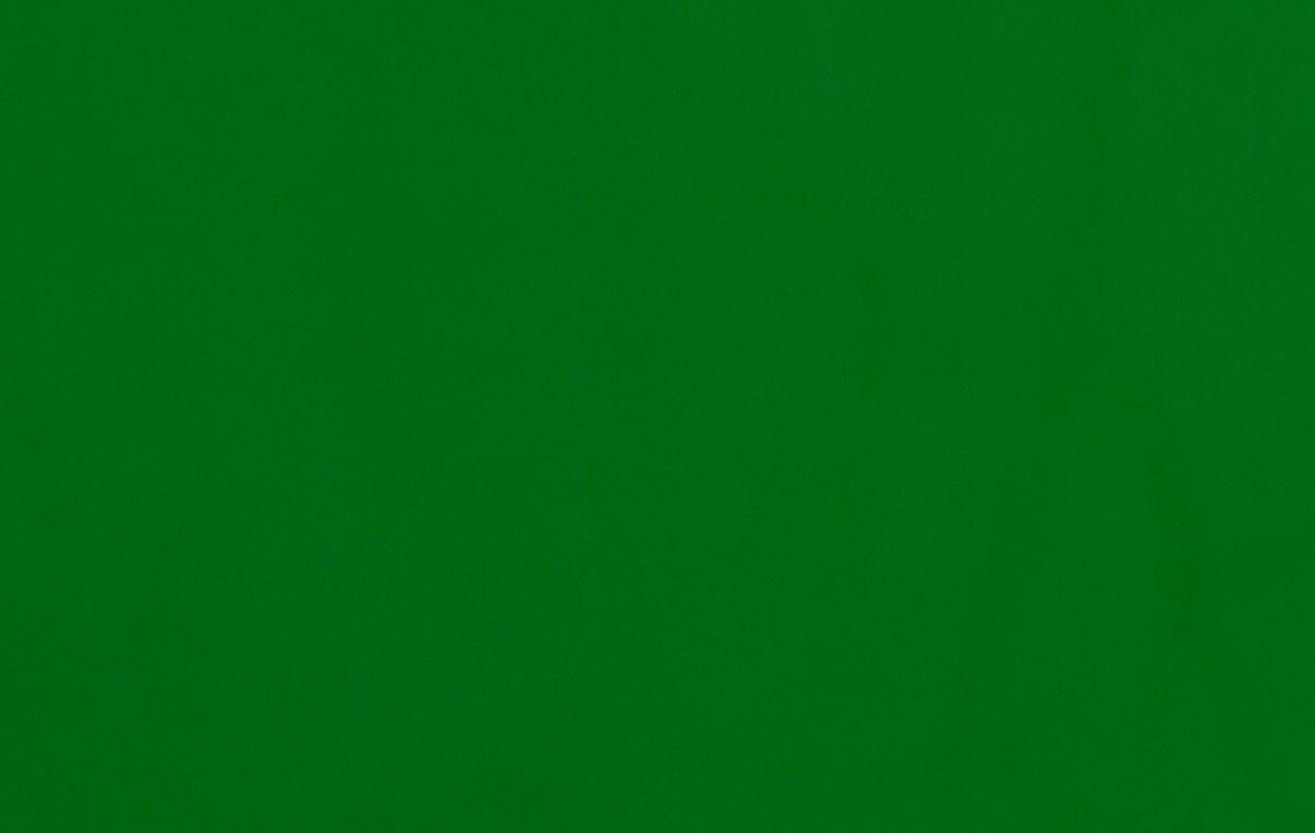 Green Screen 1920X1080 Wallpapers