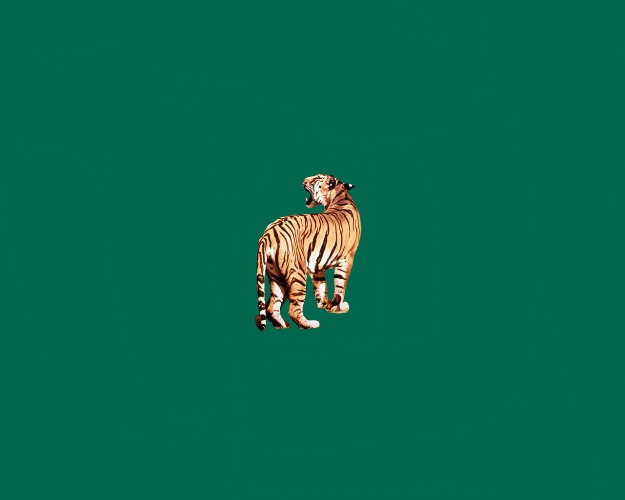 Green Tiger Wallpapers