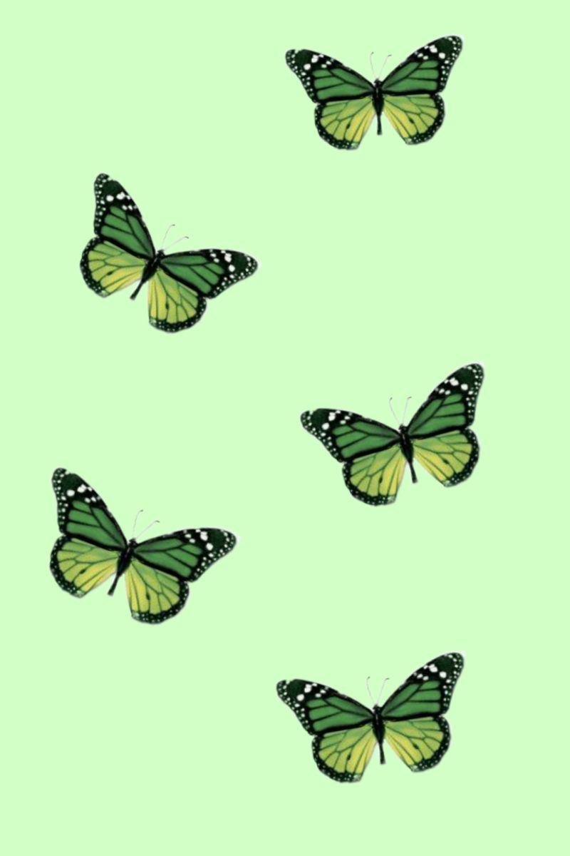 Green Aesthetic Wallpapers