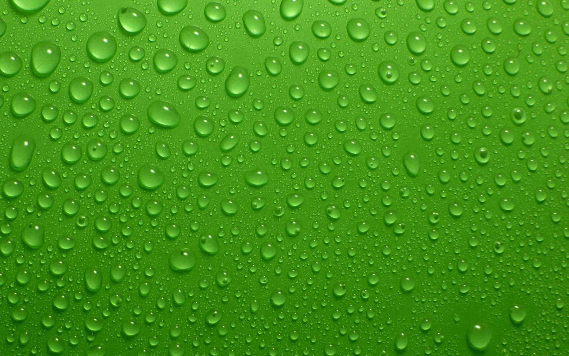 Green Water Wallpapers