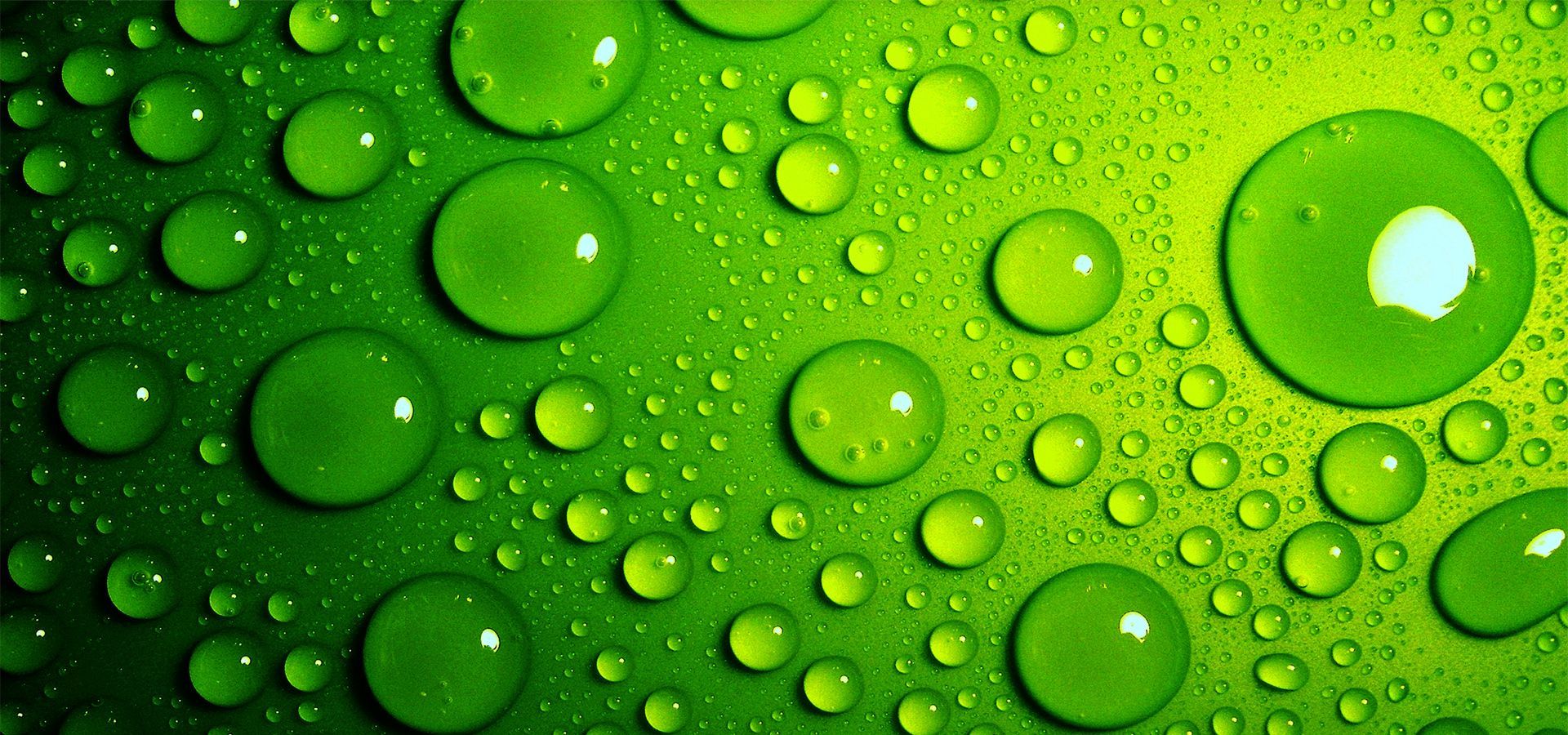 Green Water Wallpapers