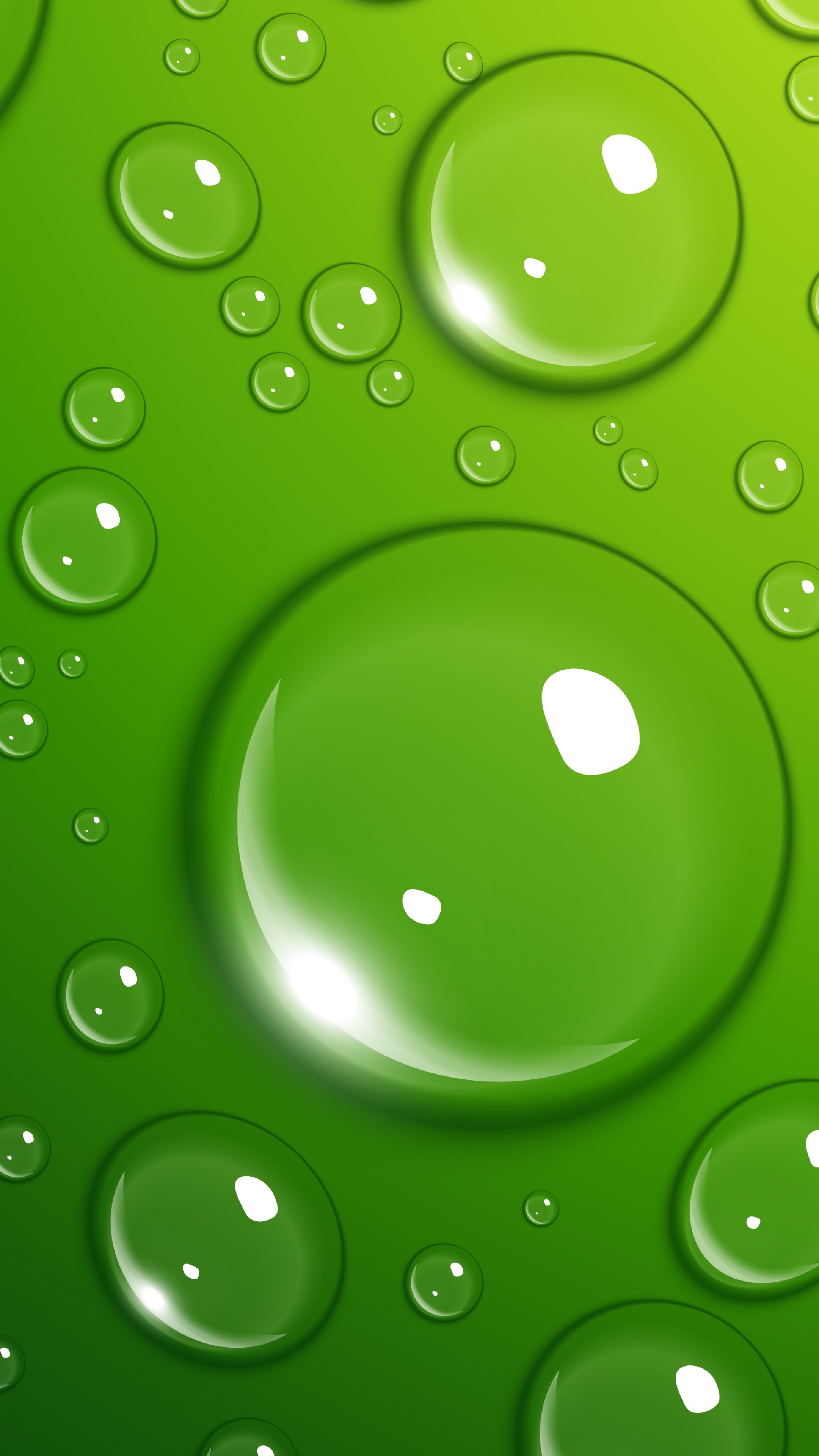 Green Water Wallpapers