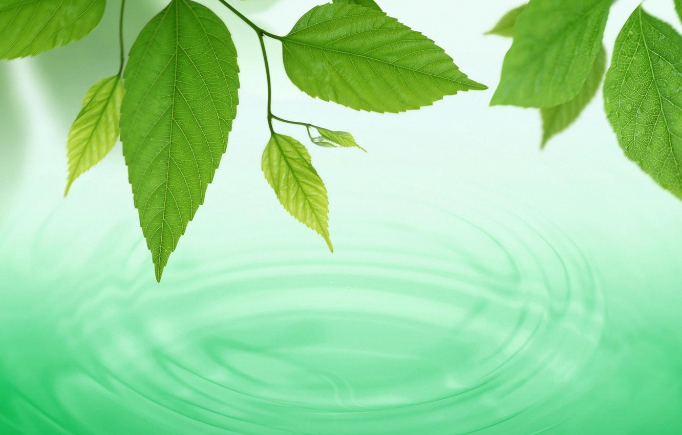 Green Water Wallpapers