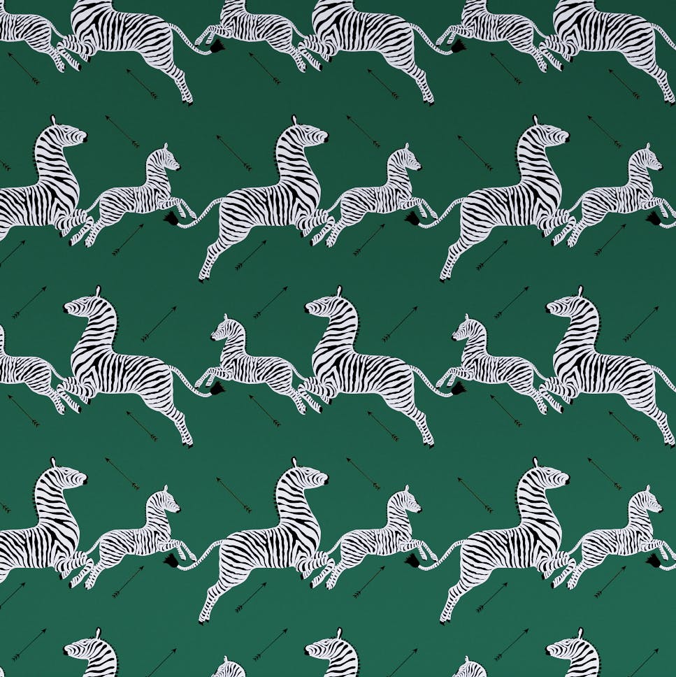 Green Zebra Wallpapers