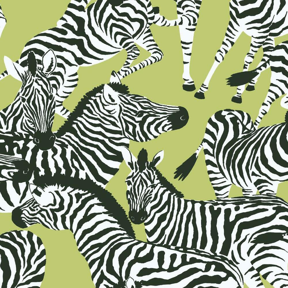 Green Zebra Wallpapers