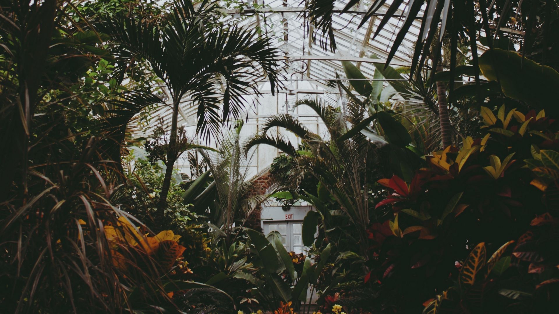 Greenhouse Wallpapers