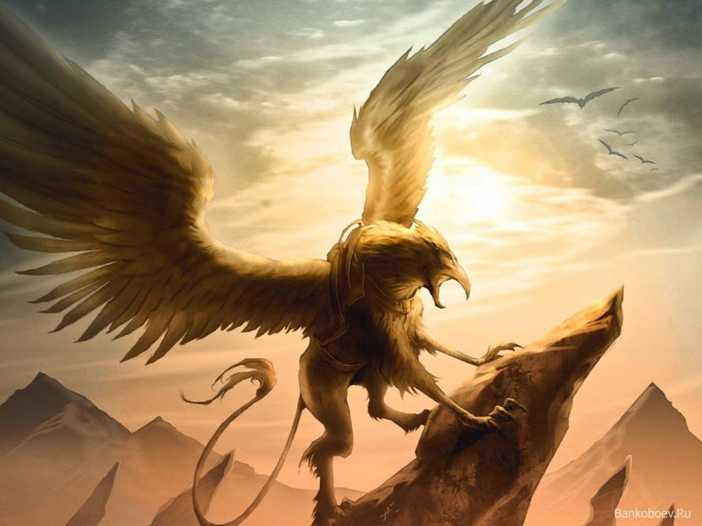 Griffins Mythical Creatures Wallpapers