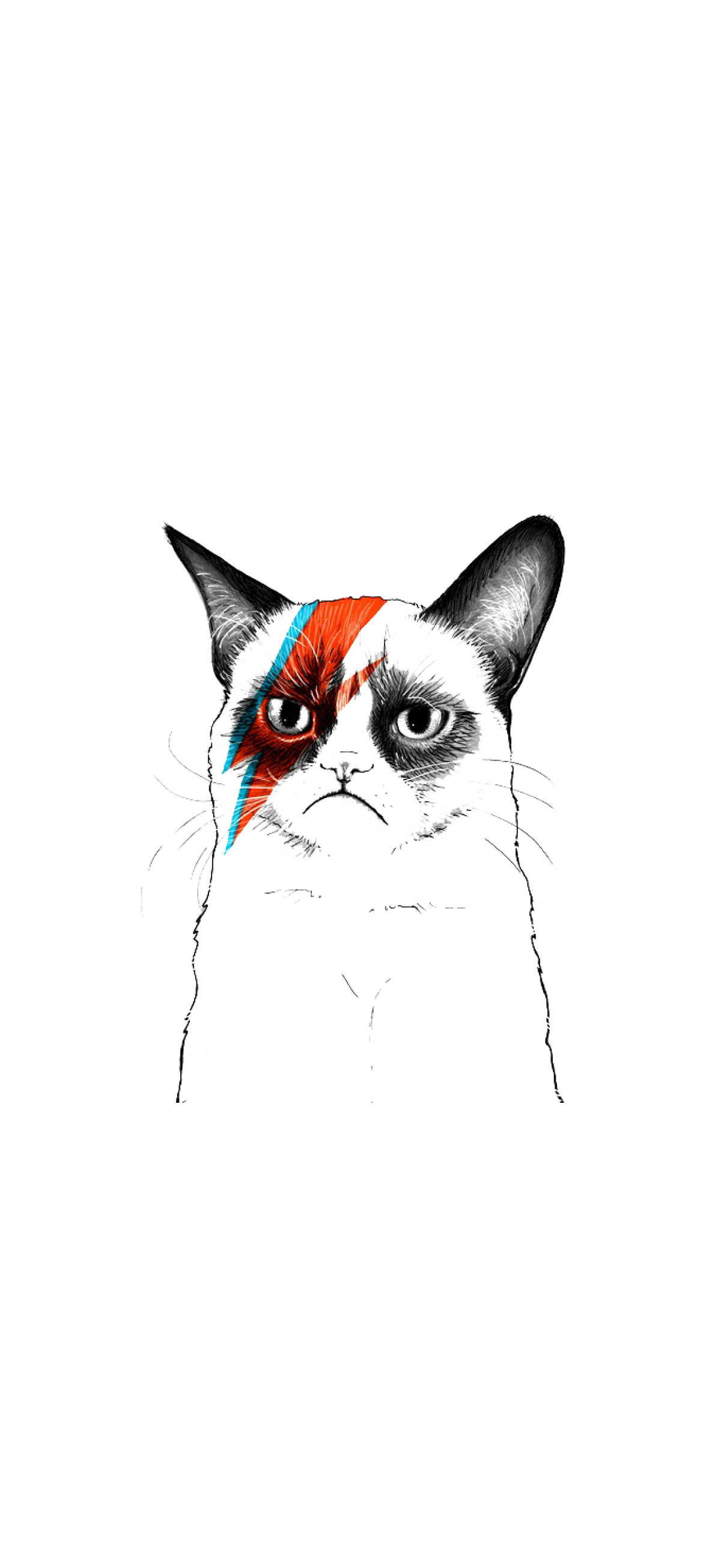 Grumpy Cat Iphone Wallpapers