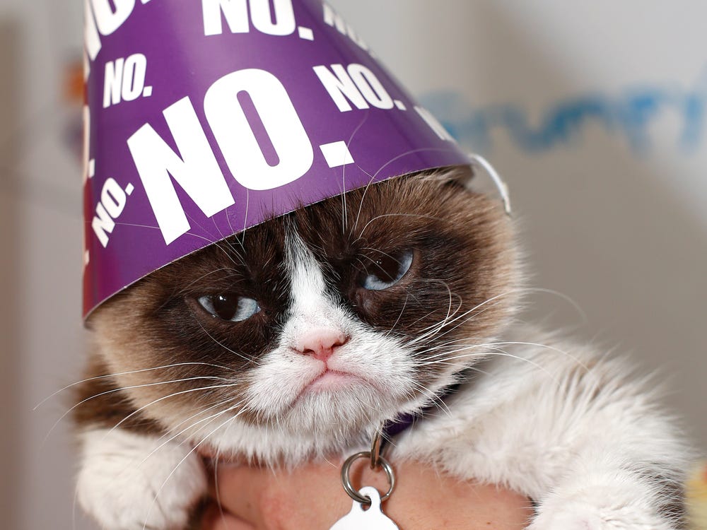 Grumpy Cat Wallpapers