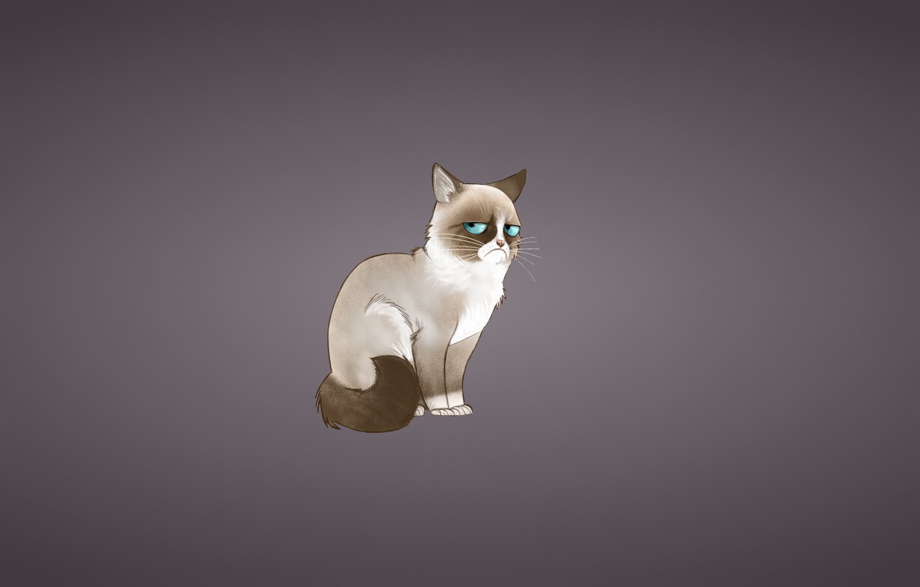 Grumpy Cat Wallpapers